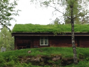 Grass roofs; too many to count
