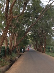 The road to MaaSAE Girls School