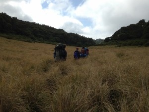 Grassy meadows in the caldera of Mt. Ketumbeini