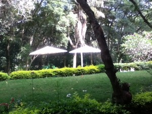 My view from my WIFI access spot on the veranda by the bar and lobby.