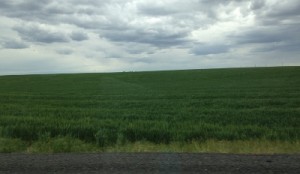 Central Washington reminds me of my elementary days on the prairie of Northern Montana.