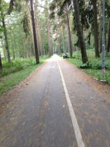Praying for the guy down the path on the park bench on the right.