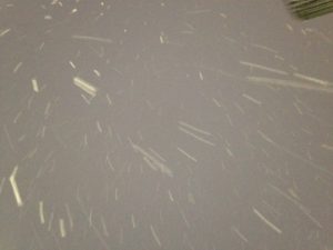 Snow! Big fluffy flakes falling!